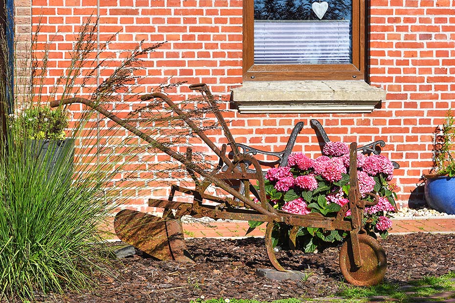 Foto aus der Fotogruppe 